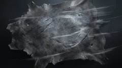 Swift Hide