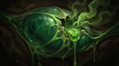 Venom Gland