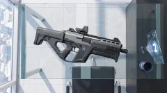 Service Rifle