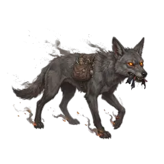 Ash Jackal