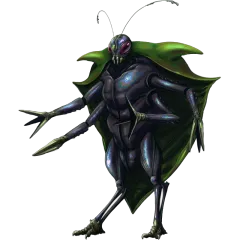 Bedbug