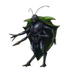 Wild Bedbug