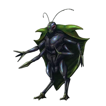 Wild Bedbug