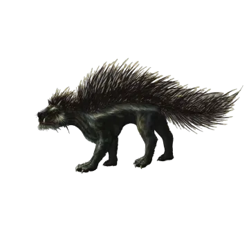 Porcupine