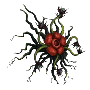 Spore