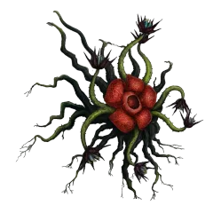 Spore