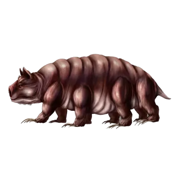 Tardigrade