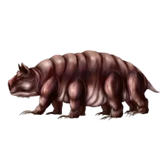 Tardigrade
