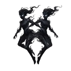 Twin Shadows