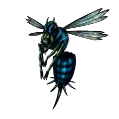 Wasp